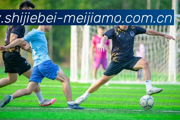 多媒体互动体验