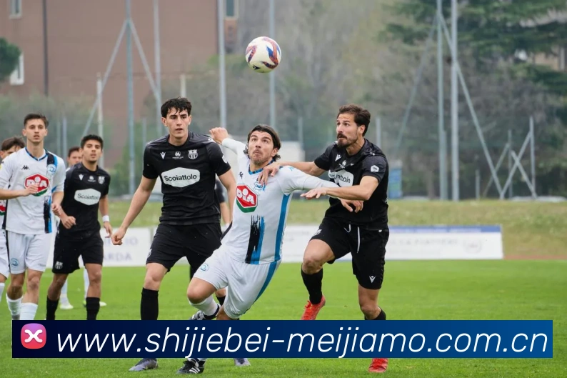 美加墨世界杯投注APP 高清赛事图